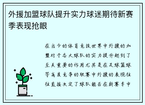 外援加盟球队提升实力球迷期待新赛季表现抢眼